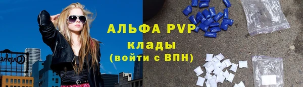 гашик Гусь-Хрустальный