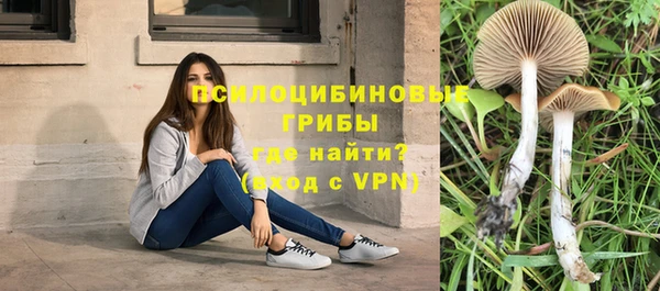 мяу мяу мука Тобольск