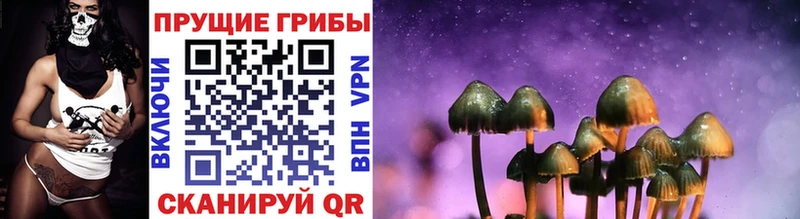 KRAKEN маркетплейс  Гусев  Галлюциногенные грибы MAGIC MUSHROOMS 