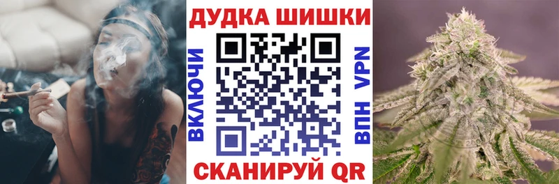 Конопля индика  Гусев 
